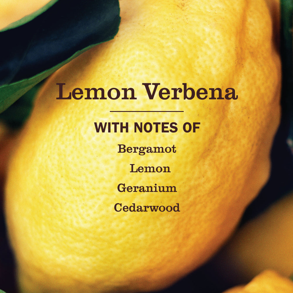 Mrs. Meyer's Lemon Verbena Multi-Surface Concentrate
