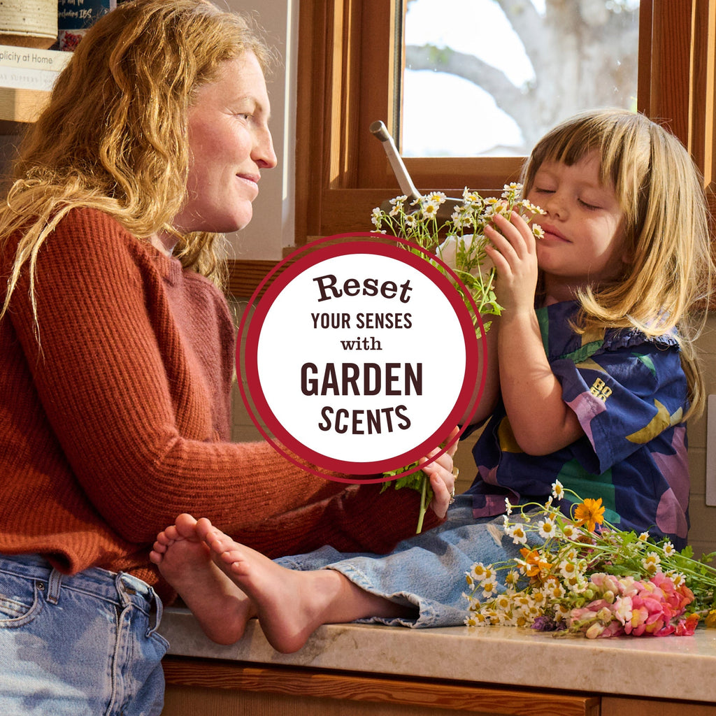 Mrs. Meyer's Daisy Room Freshener