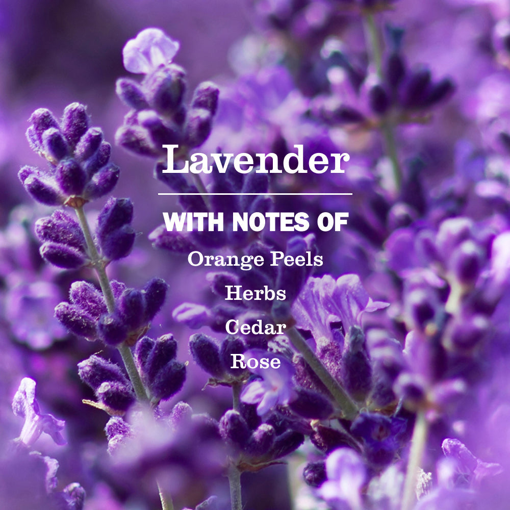 Mrs. Meyer's Lavender Dish Soap