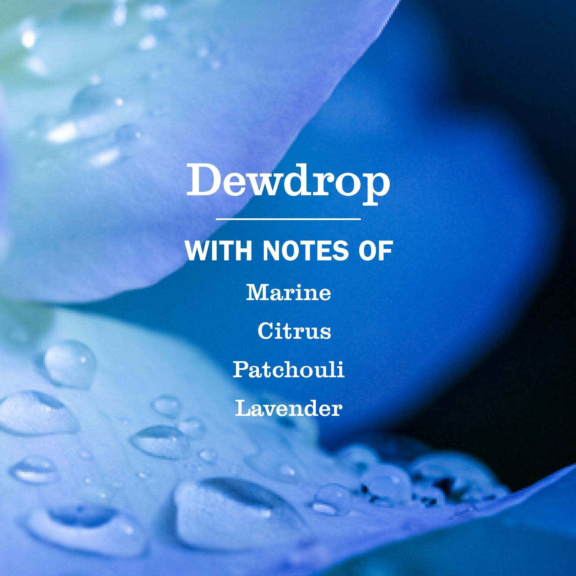 Dewdrop Multi-Surface Everyday Cleaner