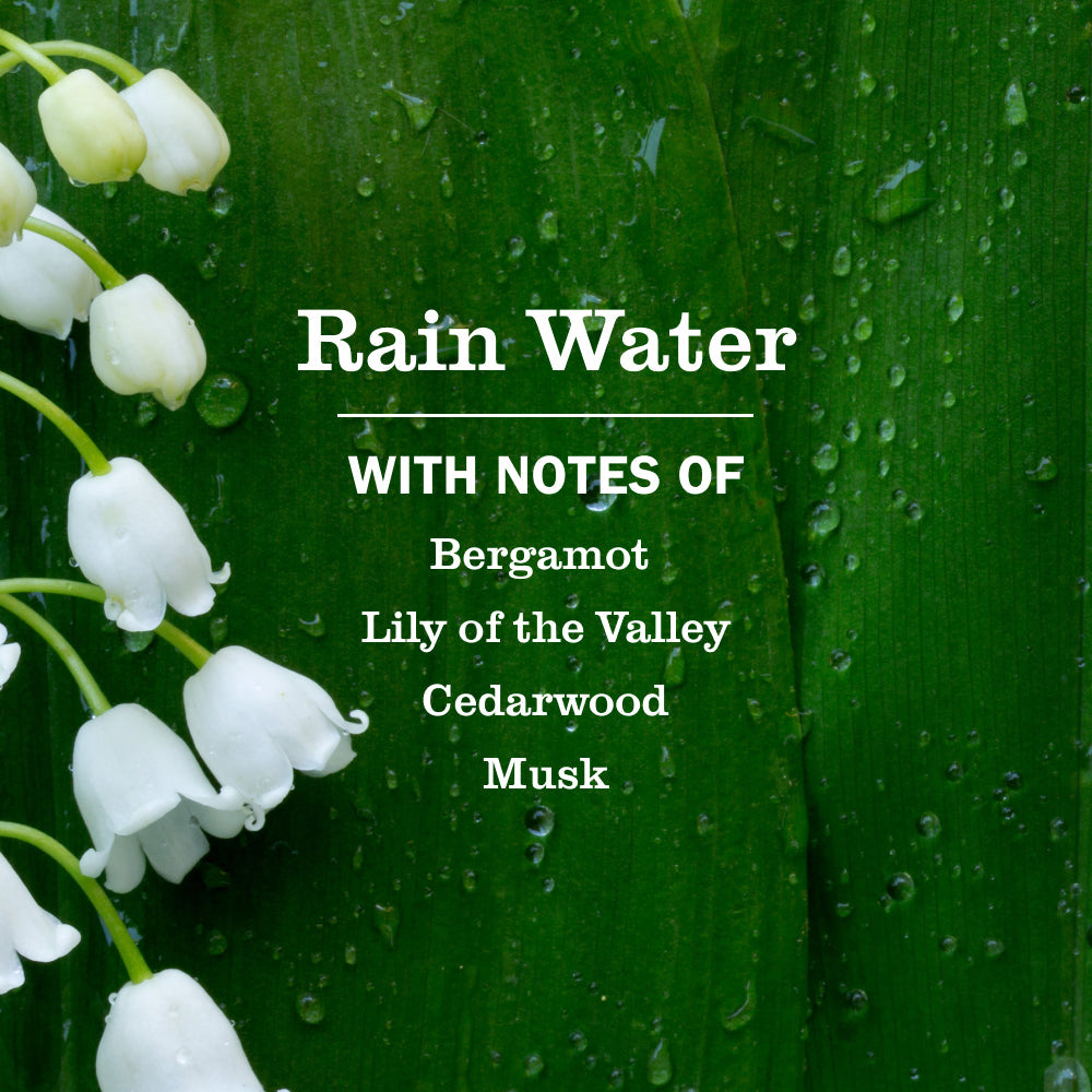 Mrs. Meyer's Rain Water Dish Soap